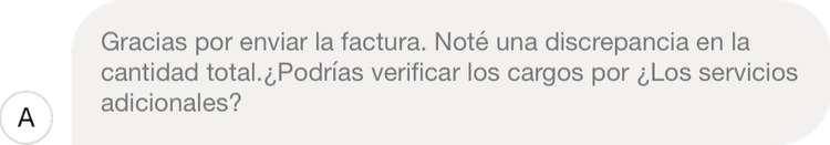Invoice comments
